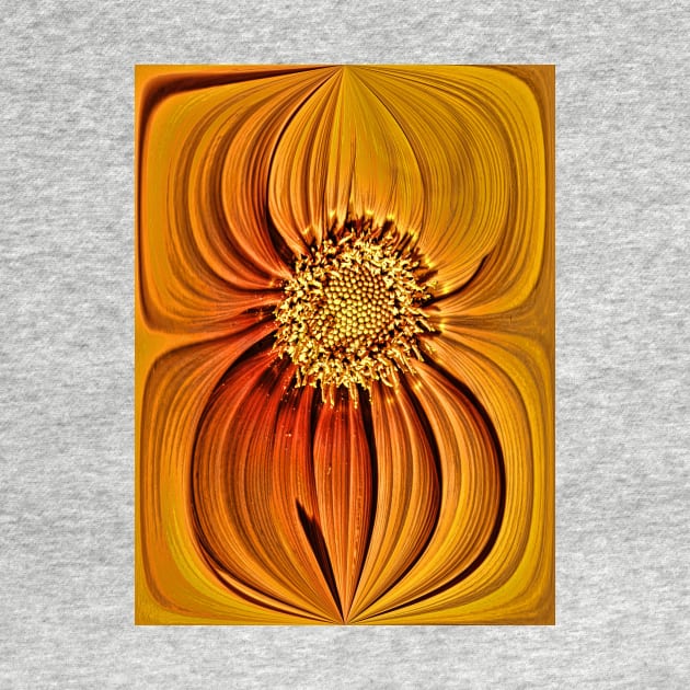 Orange Gazania Design by avrilharris